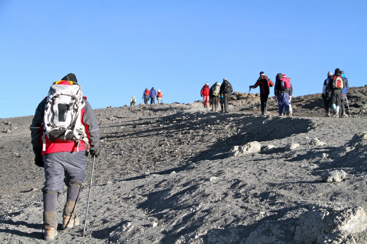 8 Day Kilimanjaro Climbing via Lemosho Route