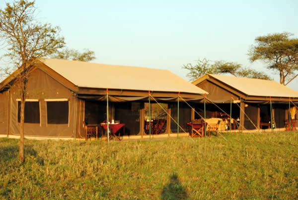 7 Day Camping to Serengeti,Ngorongoro and Tarangire