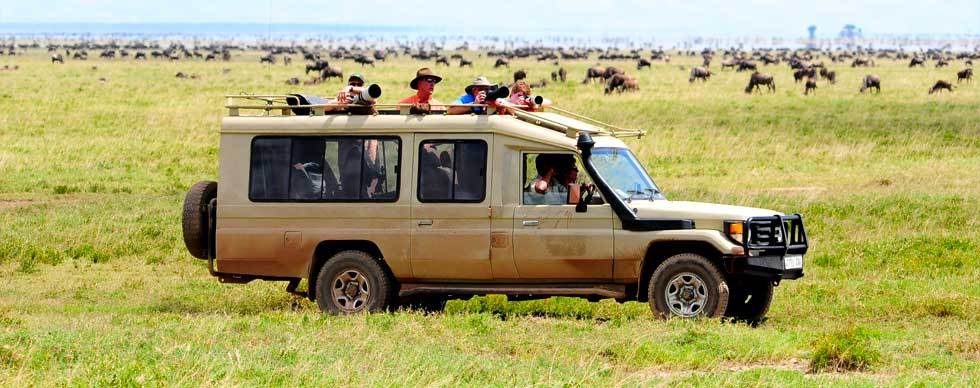 Safari Vehicles