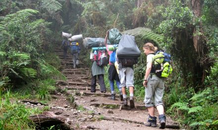 7 Days Climb  Kilimanjaro Western Breach Umbwe Route