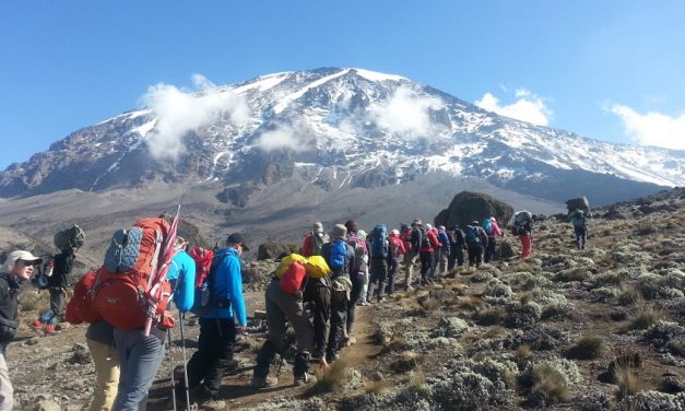 5 Days Climb  Kilimanjaro – Marangu Route