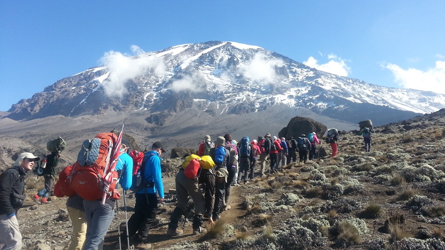 5 Days Climb  Kilimanjaro – Marangu Route