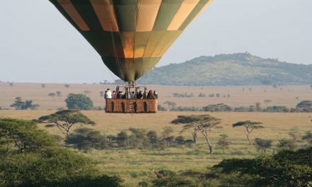 7 Day Serengeti Balloon Safari