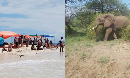 3 Days Safari and 3 Days Zanzibar